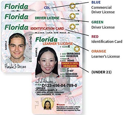 appointment licencia miami