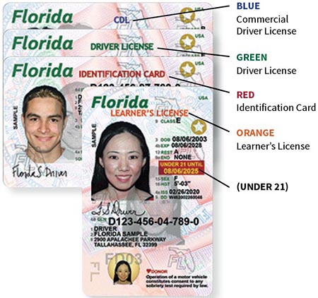 licencia conducir Miami